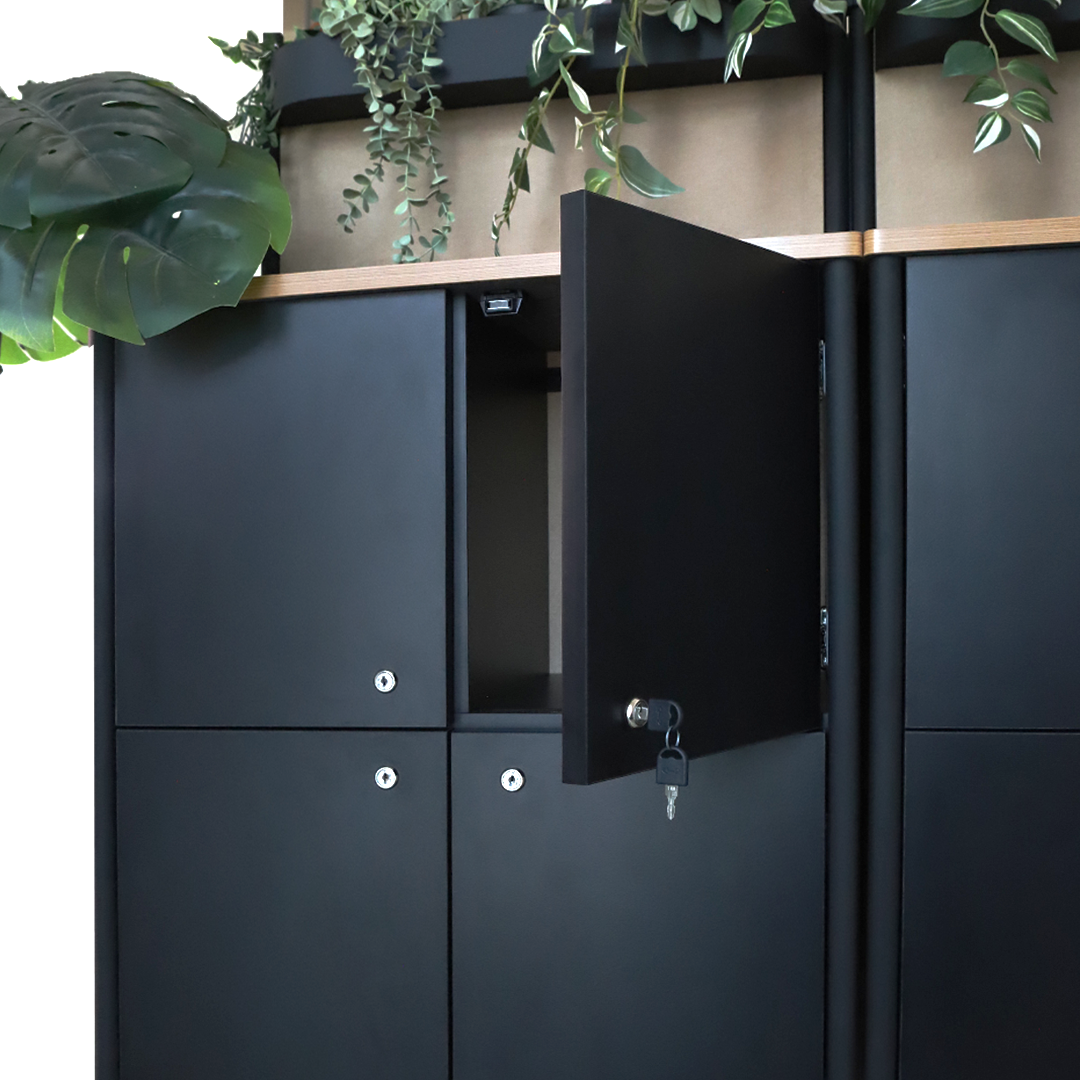 Option Locker